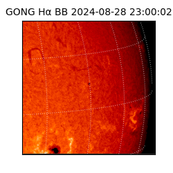 gong - 2024-08-28T23:00:02