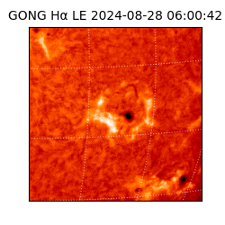 gong - 2024-08-28T06:00:42