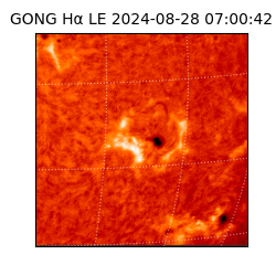 gong - 2024-08-28T07:00:42