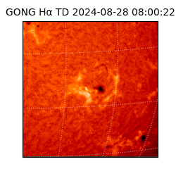 gong - 2024-08-28T08:00:22