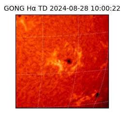 gong - 2024-08-28T10:00:22