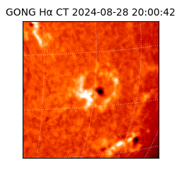 gong - 2024-08-28T20:00:42