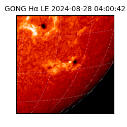 gong - 2024-08-28T04:00:42