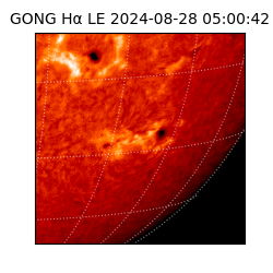 gong - 2024-08-28T05:00:42