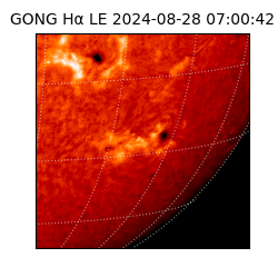 gong - 2024-08-28T07:00:42