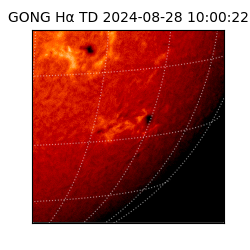 gong - 2024-08-28T10:00:22