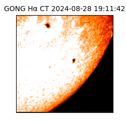 gong - 2024-08-28T19:11:42