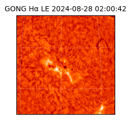 gong - 2024-08-28T02:00:42