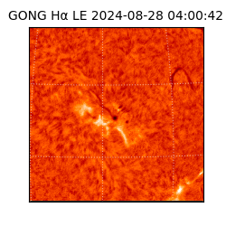 gong - 2024-08-28T04:00:42