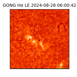 gong - 2024-08-28T06:00:42