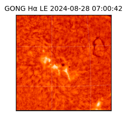 gong - 2024-08-28T07:00:42