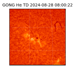 gong - 2024-08-28T08:00:22