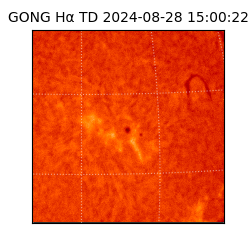 gong - 2024-08-28T15:00:22