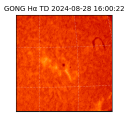 gong - 2024-08-28T16:00:22