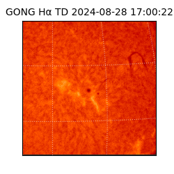 gong - 2024-08-28T17:00:22