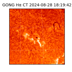 gong - 2024-08-28T18:19:42