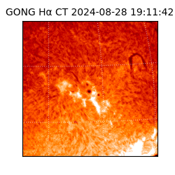 gong - 2024-08-28T19:11:42