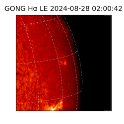 gong - 2024-08-28T02:00:42