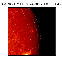 gong - 2024-08-28T03:00:42