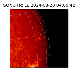 gong - 2024-08-28T04:00:42