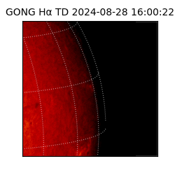 gong - 2024-08-28T16:00:22