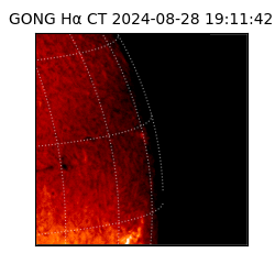 gong - 2024-08-28T19:11:42