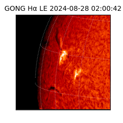 gong - 2024-08-28T02:00:42