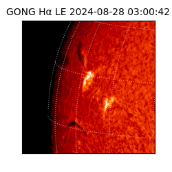 gong - 2024-08-28T03:00:42