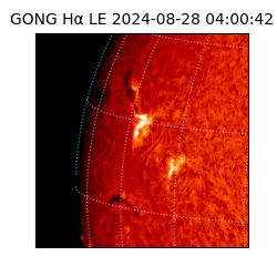 gong - 2024-08-28T04:00:42