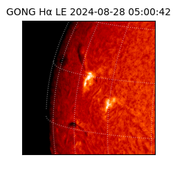 gong - 2024-08-28T05:00:42