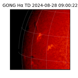 gong - 2024-08-28T09:00:22