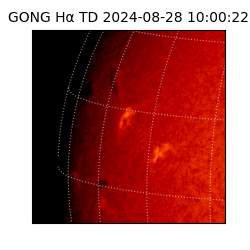 gong - 2024-08-28T10:00:22