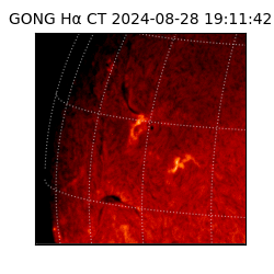 gong - 2024-08-28T19:11:42