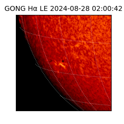 gong - 2024-08-28T02:00:42