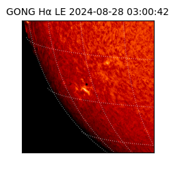 gong - 2024-08-28T03:00:42