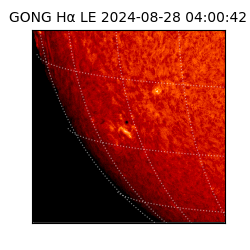 gong - 2024-08-28T04:00:42