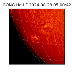 gong - 2024-08-28T05:00:42