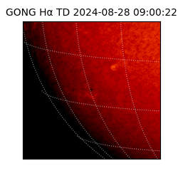 gong - 2024-08-28T09:00:22