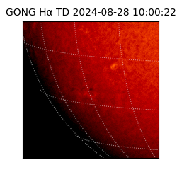 gong - 2024-08-28T10:00:22