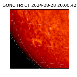 gong - 2024-08-28T20:00:42