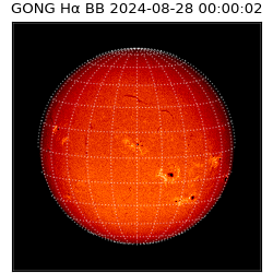 gong - 2024-08-28T00:00:02
