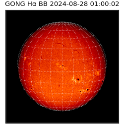 gong - 2024-08-28T01:00:02