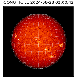 gong - 2024-08-28T02:00:42