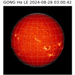 gong - 2024-08-28T03:00:42