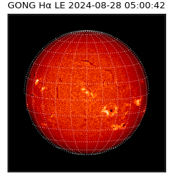 gong - 2024-08-28T05:00:42