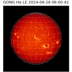 gong - 2024-08-28T06:00:42
