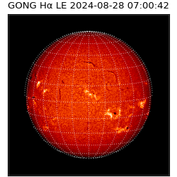 gong - 2024-08-28T07:00:42