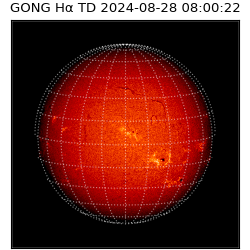 gong - 2024-08-28T08:00:22
