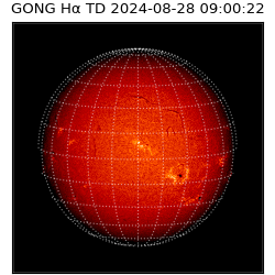 gong - 2024-08-28T09:00:22