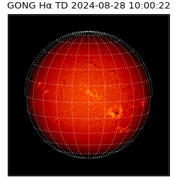 gong - 2024-08-28T10:00:22